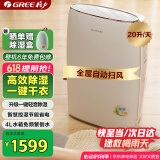 格力（GREE）除湿机/抽湿机家用卧室客厅低噪除潮除霉可干衣单间40平除湿器20升/天智能控湿24H定时DH20EF