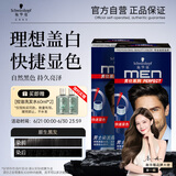 施华蔻（Schwarzkopf）男士染发霜3.0棕黑色双盒装 染发剂染发膏男士专用盖白发轻松操作
