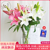 悦多彩AB级优质香水百合 家庭办公室各色生活鲜花 昆明基地 现采直发 百合组合40朵（粉色/白色各20朵）