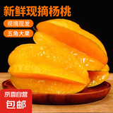 现摘杨桃 新鲜水果 五角星杨桃 鲜甜多汁 水果 新鲜杨桃2个