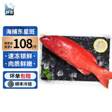 鲟食 海捕东星斑鱼 鲜活冷冻石斑鱼生鲜鱼类节日送礼佳品 海捕东星斑 净重700-800g/条【推荐】