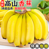 正宗广西高山香蕉2025新鲜水果整箱当季鲜自然熟粉蕉非小米苹果蕉 5斤净重4.5斤【需催熟】