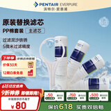 爱惠浦（Everpure） PP棉滤芯4支10吋/5微米加扳手 净水机通用滤芯
