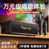 金运【中国好声音推荐丨2025最新款】家庭ktv音响套装k歌麦克风一体电视卡拉ok点歌机蓝牙音箱高音质k3 【双麦】自带K歌系统+影视播放