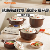 九阳（Joyoung）砂锅陶瓷煲汤锅耐高温京东自营砂锅煲汤煲仔饭熬药煮饭4.5L