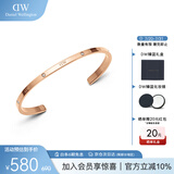 丹尼尔惠灵顿（DanielWellington）DW手镯时尚首饰闪耀星辰手镯女情侣手环生日礼物女DW00400531