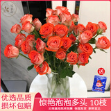 悦多彩A级多头玫瑰鲜花 云南基地直发速递 送女友老婆闺蜜生日七夕礼物 惊艳泡泡多头玫瑰 10支