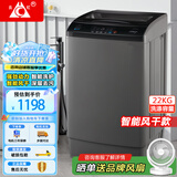 长虹全自动洗衣机 家用租房大容量洗烘一体机 波轮洗脱一体机 风干桶自洁 仿生手搓 以旧换新 22公斤 【智能风干+强动力电机】
