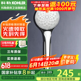 科勒（KOHLER） 淋浴花洒喷头 手持花洒多功能莲蓬头软管滑动杆底座托套餐 R99063T-CP亲氧花洒头