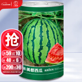 大禹懒汉西瓜种子苗特大适合南方早熟懒人8424麒麟瓜美都无籽水果蔬菜 美都西瓜种子 600粒/桶