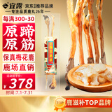宜露梅花鹿筋【营养高，带蹄更保真】吉林梅花鹿乡鹿筋自营正品