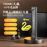天鹅（SWAN）口琴24孔礼盒款初学者入门进口音簧复音C调送礼乐器