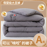 南极人（Nanjiren）大豆被子被芯冬天加厚春秋被保暖冬被被套芯单人被褥棉被学生盖被 原绵大豆被-灰色【促销款】 150*200cm（6斤重）单人冬被