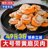 一虾一世界冷冻大号带黄扇贝肉 无沙蒜蓉粉丝扇贝去壳去沙 海鲜火锅烧烤食材 大号扇贝肉500g*3袋【40/60规格】