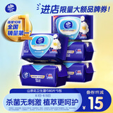 维达（Vinda）杀菌湿巾 80片*5包 山茶花精华 杀菌率99.9% 湿巾大包 湿纸巾