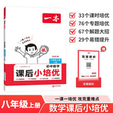 一本初中数学课后小培优八年级上册人教版 2025秋新题型新趋势课时专题培优思维训练课后复习巩固练习