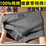 美宝健100%纯棉3条装男士内裤透气平角裤青年裤头加大码宽松底裤四角裤 （5条装100%纯棉）颜色随机 5条 3XL （130-150斤）纯棉