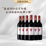 玛茜（RocheMazet）经典干红葡萄酒建发酒业法国进口红酒父亲节送礼畅饮整箱优雅柔滑 750mL 6瓶