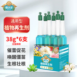 德沃多肥料植物再生剂营养液通用6支水培发财树花肥料绿植花卉生根液