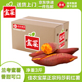 佳农宝菜兰考蜜薯香甜可口单果约100g+地瓜净重3斤装源头直发