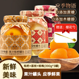 应季物语水果罐头390克*3罐 岭南三宝果汁罐头玻璃瓶 杨梅+枇杷+荔枝