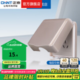 正泰（CHNT）防水盒防溅盒 86型暗装防水开关插座面板 卫生间塑料防水壳 86型香槟色