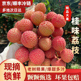 果淳乐桂味荔枝【多地次日达】 广东茂名新鲜冰冻大荔枝当季水果礼盒 250g装【精选果】 尝鲜/试吃