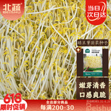 北蔬 绿豆芽苗菜种子种苗家庭水培无土栽培菜种籽 绿豆芽苗菜种子200g