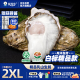 贝司令（BEISILING）【鲜活】乳山生态生蚝牡蛎贝类烧烤源头直发2XL净重9斤 海鲜水产