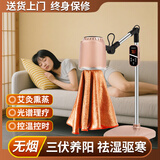 艾点（Ai Dian）艾灸仪器一体机无烟家用理疗仪美容院温灸仪全身用熏蒸仪艾炙烤灯 标准款（七光渗透+蜂窝聚热） M