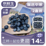 京鲜生 国产蓝莓 2盒14mm+装 125g/盒 生鲜水果 源头直发 包邮