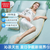 佳韵宝（Joyourbaby）H型孕妇枕孕妇侧卧枕头多功能靠枕护腰侧睡枕睡觉抱枕芸黄竹翡