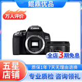 佳能/Canon 500D 600D  700D 750D 760D 800D 二手单反相机 95新 95新 佳能850D 50 1.8STM 套机