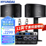 HYUNDAI现代家庭影院ktv音响套装家用k歌电脑电视客厅卡拉ok全套会议室卡包店铺专业功放音箱设备 【尊享版】12吋音响套装