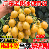 粤迎广东鸡心黄皮果【JD顺丰冷链】黄皮新鲜水果现摘现发黄弹子酸甜 冰糖黄皮果3斤【纯甜无酸】净2斤