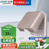正泰（CHNT）防水盒防溅盒 86型暗装防水开关插座面板 卫生间塑料防水壳 86型香槟色