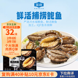 金唐鲜冻鲍鱼净重300g 10粒盒装带壳鲍鱼肉 贝类海鲜生鲜火锅烧食材