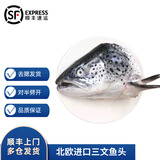 沢素湾三文鱼头 大西洋挪威丹麦鲑鱼冰鲜冷冻炖汤烧烤剁椒鱼头食材 5只装 2500g