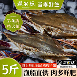 舟山梭子蟹鲜活特大野生大螃蟹新鲜冷冻海鲜水产海蟹飞蟹白蟹顺丰 3-5两/只【3斤 当季船供】