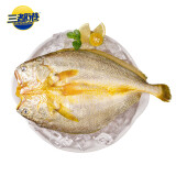 三都港冷冻醇香黄鱼鲞净重1斤1条 三去黄花鱼 烧烤食材海鲜水产