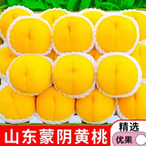 粤迎山东蒙阴黄桃黄毛桃黄肉黄毛桃黄金蜜桃当季水果爆汁现摘黄肉蜜桃 5-5.5斤中小果【单果95g+】净4.5