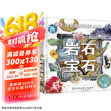 DK儿童图解百科全书岩石与宝石