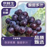 京鲜生 国产巨峰葡萄 净重4.8-5.2斤 生鲜水果 葡萄/提子 源头直发 包邮