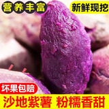 鲁禧海岸紫薯 新鲜蔬菜当季现挖 减脂粗粮 山东特产紫罗兰紫薯 沙地粉紫薯 【试吃装】优选中果2斤-单果3-8两