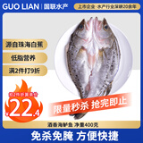 GUO LIAN国联水产 三去酒香海鲈鱼净重400g 三去开背 海鲜海产