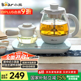 小熊（Bear）煮茶器煮茶壶 0.8L蒸汽喷淋式蒸茶壶养生壶电水壶热水壶304不锈钢烧水壶茶具黑茶ZCQ-A08E1