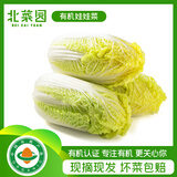 北菜园有机娃娃菜400g 有机新鲜蔬菜【进店多样加购】 火锅涮菜