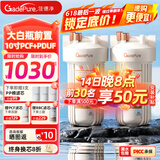 佳德净（GADEPURE）大白瓶前置过滤器家用大胖滤瓶水龙头自来水除余氯阻垢全屋前置过滤净水器10寸 小型中央净水机 【10寸PCF+PDUF】升级去杂质余氯