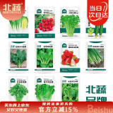 北蔬 蔬菜种子种苗香菜生菜葱菠菜春季叶菜类种籽 11种蔬菜种子套餐