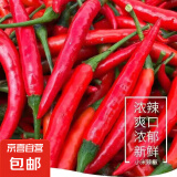 广西小米辣5斤新鲜特辣朝天椒红辣椒辣椒泡椒剁椒小米椒 小米椒 3斤